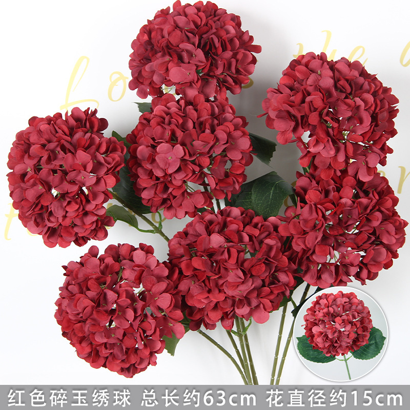 Hortensia rouge avec des feuilles