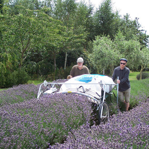 Machine à récolter la lavande de haute qualité et à haute efficacité avec moteur, petite, pour deux personnes - Product Image 2