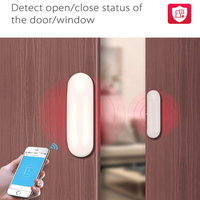 Sensor Pintu Jendela Wifi Pintar Tuya, Sensor Kontak untuk Perangkat Rumah Pintar, Mendukung Alexa