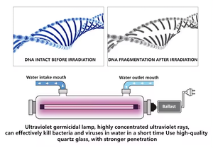 Clarificador de luz UV de 55 Watta para estanque, acuario, control de algas, máquina de matar verde ultravioleta de acero inoxidable, removedor de algas - Product Image 6
