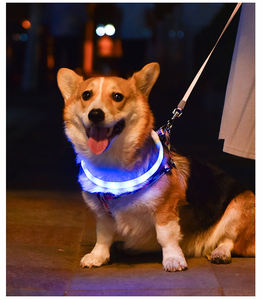 RGB Discolor Glowing Plastic <b>Dog</b> <b>Collar</b> <b>Large</b> Medium Usb Rechargeable Luminous Led Light Night Safety Pet Accessories - Product Image 2