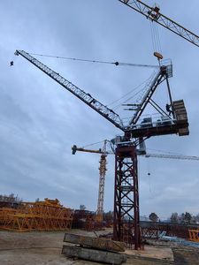 เครนยกแบบปรับระดับได้ QTD4015-6 ใช้งานง่ายสำหรับงานก่อสร้างแบบตั้งเสา - Product Image 2