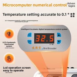 Incubatrice per Pappagalli a Temperatura Costante con Riscaldamento ad Aria, Ventilazione Automatica, Doppio Controllo per Uccelli di Piccola Taglia (Uso Invernale) - Product Image 3