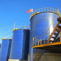 Usine de traitement de l'or CIL complète pour l'extraction aurifère en Zambie, capacité 300 TPD