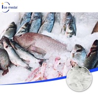 Máquina de Hielo en Escamas para Procesamiento de Pescado con Producción Automática de Hielo en Acero Inoxidable