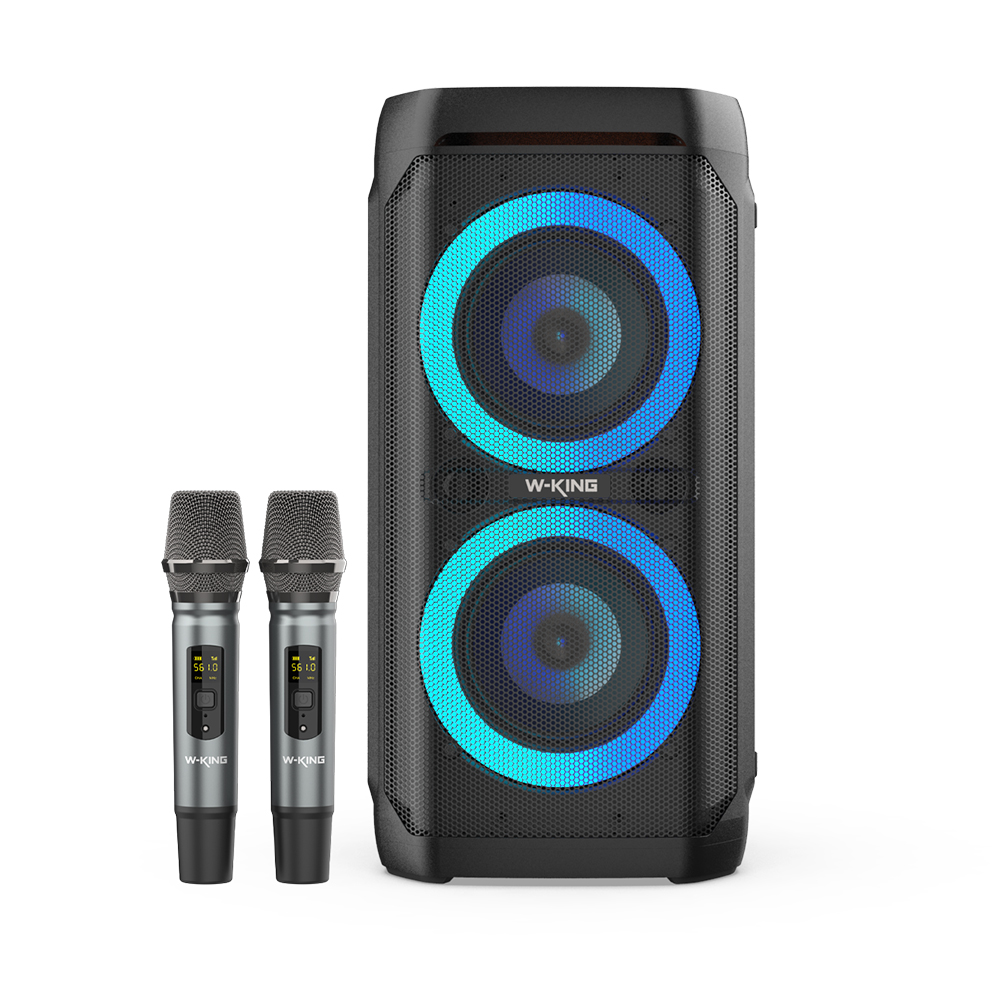Black with 2 Mics