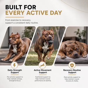 Suplemento para el Cuidado de la Salud de Mascotas de Marca Privada OEM/ODM, Golosinas Blandas para Perros, Aumento de Masa Muscular, Proteína Natural, Ganador de Peso - Product Image 3