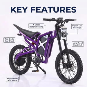 Vélo électrique 2026 en stock, <span class=keywords><strong>Fatbike</strong></span> électrique tout-terrain 20 pouces, Moto électrique tout-terrain - Product Image 2