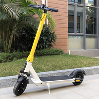 Vente directe usine – Trottinette électrique pliable 10 pouces 500W avec batterie au lithium et application connectée pour le trajet urbain