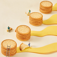 Détective Oeuf Cuisson Oeuf Saveur Biscuit Crackers Biscuits En Gros Collations Biscuit Maker Chinois Biscuit Usine Alimentaire