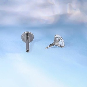 Titanium Steel Stud <b>Earring</b> Holder Claw Setting Zircon Tractor Unisex Everyday Wear Accessory - Product Image 1
