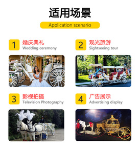 รถม้าไฟฟ้าสุดหรูสีดำแบบคลาสสิกสไตล์ยุโรป พร้อมหลังคาบังแดดสองแถว สำหรับการเที่ยวชมสถานที่ - Product Image 6