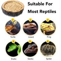 Vente en gros de bol pour reptiles en résine décor de réservoir de reptiles bol de plat d'eau pour dragon barbu, lézard, gecko