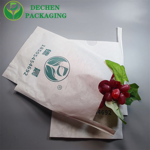 Grape Waterproof Wax Coated Bag Free Samples Growing Paper Bags