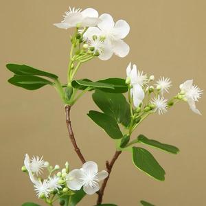 Flor Artificial Realista <span class=keywords><strong>de</strong></span> Jazmín Blanco <span class=keywords><strong>de</strong></span> Tallo Único, Decoración Floral Moderna para Interiores, Hoteles y Restaurantes - Product Image 2