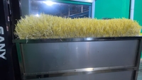 Machine à germer les graines de haricot mungo et de soja automatique commerciale KEFA à haute productivité 220V/380V
