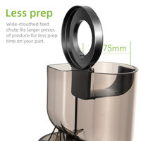 RVS commerciële elektrische slowjuicer voor fruit, citrus en sinaasappelsap