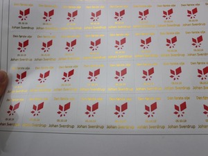 Pegatina de holograma personalizada en 3D, pegatina de vinilo transparente para cosméticos, diseño personalizado multicapa, ODM promoción/OEM - Product Image 5