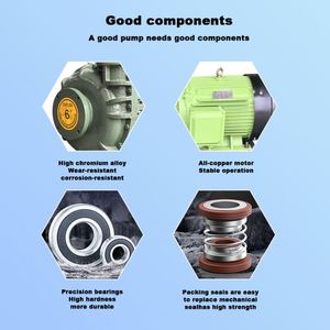 Bomba de Lodos para Procesamiento de Minerales Resistente a la Corrosión, Bomba de Lodos con Revestimiento Cerámico de Larga Duración para Lodos Abrasivos - Product Image 6