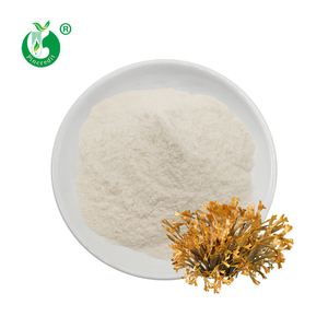 Extrato de Algas Marinhas Naturais <span class=keywords><strong>100</strong></span>% Puro em Pó <span class=keywords><strong>Fucoidan</strong></span> 98% Atacado - Product Image 2