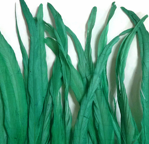 Lông dài yên ngựa - Product Image 2