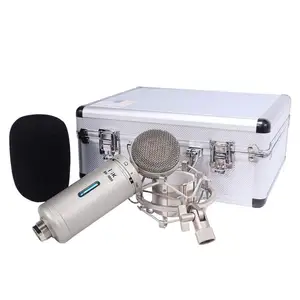 Toptan kondenser mikrofon mobil kayıt-ISK kondenser mikrofon BM-5000 cep telefonu Karaoke mikrofon bilgisayar canlı çağrı mcyy mikrofon kayıt