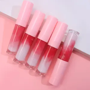 Personalized Mix Colors Pink Lip Gloss Makeup Vegan Private Label Custom Logo Glossy Nude Lipgloss