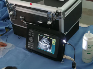 Draagbare Veterinaire Djy20a Handheld Draadloze B/W Ultrasone Scanner <span class=keywords><strong>Palmtop</strong></span> Echografie Scanner Voor Varkens Paardenkoe Zwangerschapstest - Product Image 6