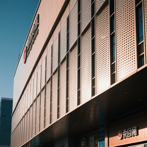 <span class=keywords><strong>Bim</strong></span> Tích hợp lớp một bảng điều khiển tường Rèm mặt tiền bằng nhôm đục lỗ chống cháy cho các ứng dụng khách sạn - Product Image 6