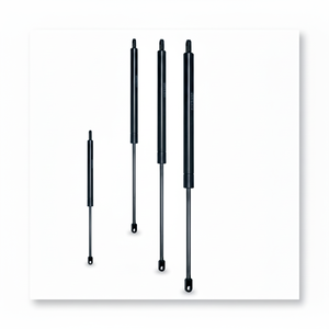 C 300จังหวะ F 200 N กระบอกลม (VO30/020) - Product Image 1