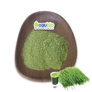 Natürliches Bio-Weizengrasspulver 100 % Reines Weizengrasspulver