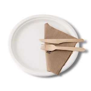 Vente flash : Assiettes rondes en canne à sucre de 26 cm, blanches, grandes, pour servir lors de dîners et de réceptions, articles ménagers - Product Image 3