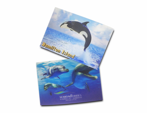 Carte postale lenticulaire personnalisée par le fabricant, impression lenticulaire 3D, carte photo 3D lenticulaire en plastique à effet de mouvement - Product Image 6