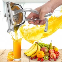 Multifunctionele duurzame aluminium fruitpers van voedselveilige kwaliteit, draagbaar en handmatig