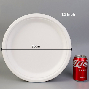 Disposable Paper <strong>Plate</strong> Kindergarten Handmade <strong>DIY</strong> Painting Cake Barbecue Tray Paper <strong>Plate</strong> Large Paper <strong>Plate</strong> 12 Inch - Product Image 3