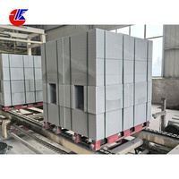 2025 nouvelle ligne de production de blocs de béton cellulaire autoclavés avec certification CE & ISO