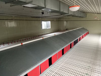 Solution clé en main nichoir automatique poules pondeuses pondeuses ferme collecte d'œufs éleveur de volailles maison bien-être déploiement