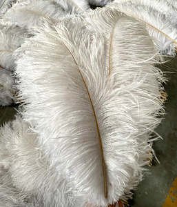 Plumas DIY <span class=keywords><strong>นก</strong></span>ประดับตกแต่งชิ้นกลาง<span class=keywords><strong>ขน</strong></span>าดใหญ่<span class=keywords><strong>สีชมพู</strong></span>สีฟ้าขนาดใหญ่ขนนกกระจอกเทศสีดำสีขาวสำหรับงานเทศกาล - Product Image 1