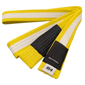 Top Quality Best Selling <b>Low</b> MOQ BJJ Pearl Weave <b>Belts</b> Design Your Own Product In Stock BJJ Pearl Weave <b>Belt</b> - Product Image 4