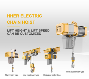 Maxloadc & h Daul rantai listrik kecepatan tunggal pengangkat dengan saklar batas ganda <span class=keywords><strong>hoist</strong></span> listrik dengan kait Suspencion - Product Image 5