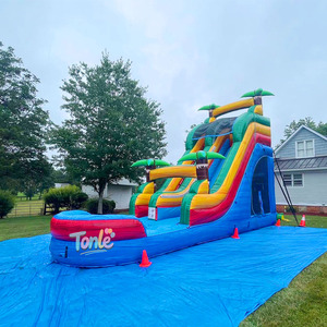 Obstáculo de rebote en seco Bouncer y tobogán inflable Super High Ch Unisex 1 pieza Castle Logo Free Strong PVC 5-7 días de trabajo - Product Image 3