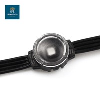 Module LED à pixels adressables 20 mm DC24V RGBW IP68 étanche en PC pour projets d'éclairage paysager - Vente chaude