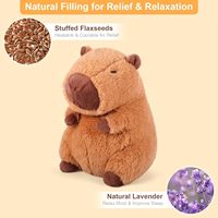 Peluches en peluche Capybara chauffantes et rafraîchissantes ODM personnalisables Coussin chauffant en peluche pour animaux au micro-ondes Jouet en peluche pour enfants apaisants