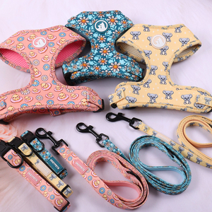 กระเป๋าเป้สะพายหลังสำหรับสัตว์เลี้ยง OKEYPETS ดีไซน์เนอร์ออกแบบเอง แฟชั่นรักษ์โลก นุ่มสบาย ผลิตจากนีโอพรีน ลายสัตว์ พร้อมสายรัดปรับได้สำหรับสุนัข - Product Image 2