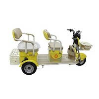 Tricycle Électrique Ouvert à Trois Roues 1000W 60V avec Moteur Arrière, 3 Vitesses, 3 Sièges pour Adultes - Vente Chaude