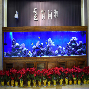 <span class=keywords><strong>Acquario</strong></span> per Pesci, Il Nostro Miglior Design per <span class=keywords><strong>Acquario</strong></span> di Discus, Vasca in Acrilico, Acquari e Accessori in Plastica, 5L, Rosso Dorato - Product Image 6