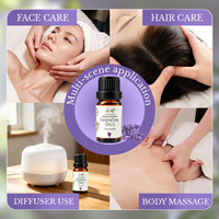 Huile de parfum naturelle pure en gros pour brûleur, huile essentielle de lavande pour massage, aromathérapie, beauté, spa et diffuseur