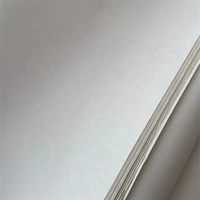 China Newsprint 42GSM 45GSM 48.8GSM 55GSM Periódico