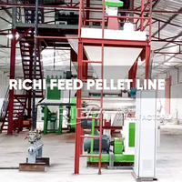 Ligne de production complète de granulés d'aliments pour volailles RICHI 5t/h pour petites exploitations agricoles au Zimbabwe