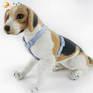 Nuevo <span class=keywords><strong>Collar</strong></span>, Arnés y Correa para Perro de Diseño de Lujo, Personalizado con Logotipo, de <span class=keywords><strong>PVC</strong></span> y Neopreno de Alta Calidad - Product Image 6